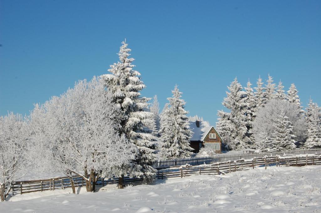 Cabana Motilor Mărişel エクステリア 写真