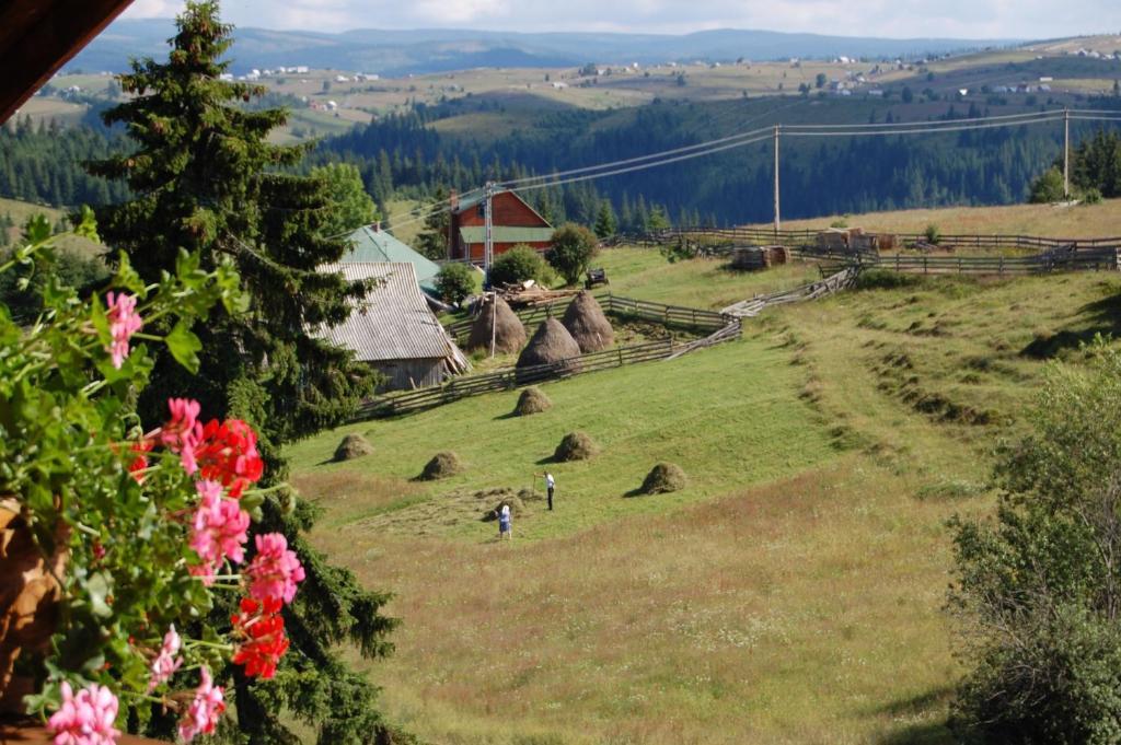 Cabana Motilor Mărişel エクステリア 写真