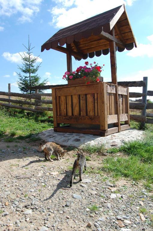 Cabana Motilor Mărişel エクステリア 写真
