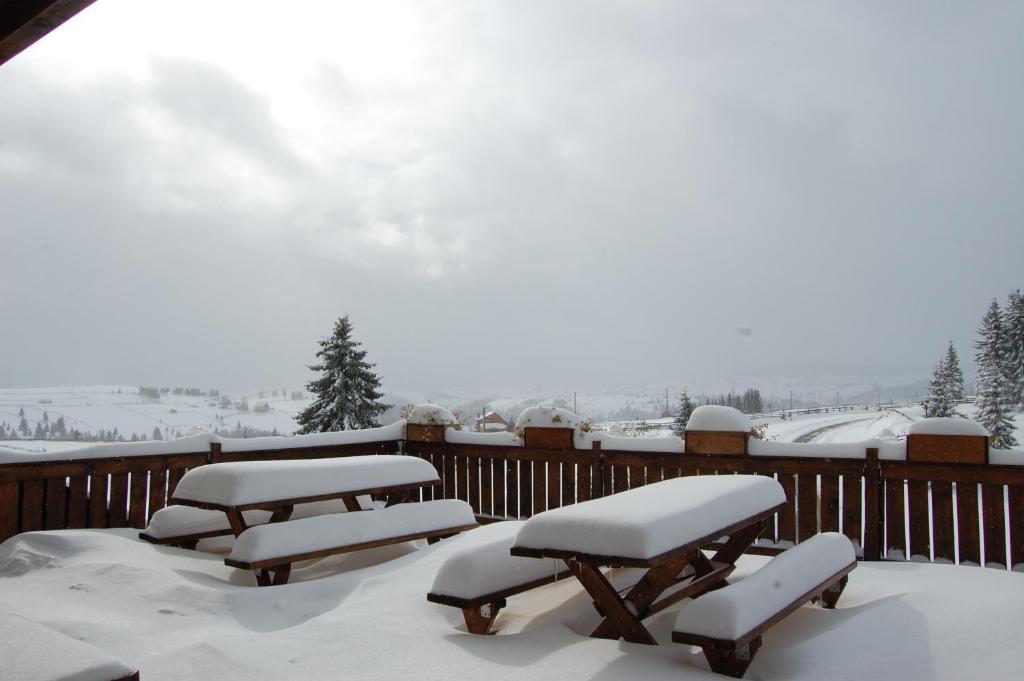 Cabana Motilor Mărişel エクステリア 写真