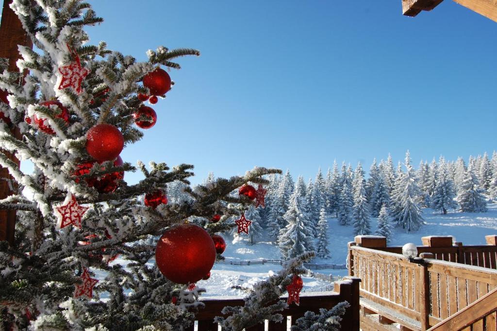 Cabana Motilor Mărişel エクステリア 写真