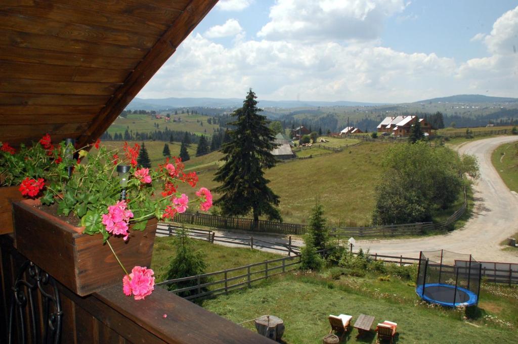 Cabana Motilor Mărişel 部屋 写真